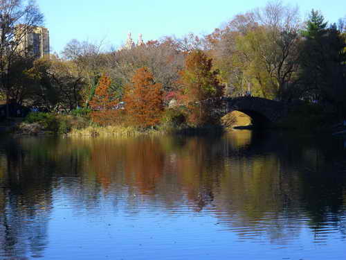NYC_2012-11-22 13-12-30_P1070511
